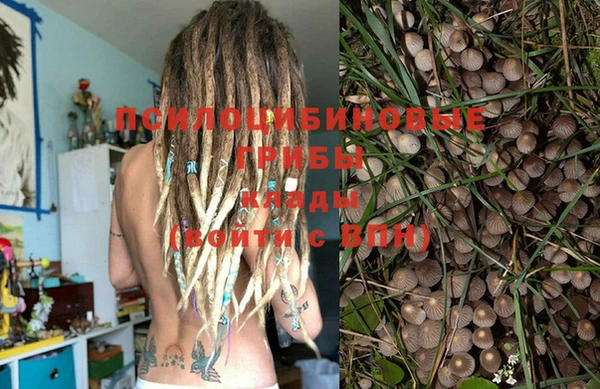 мяу мяу мука Гусев