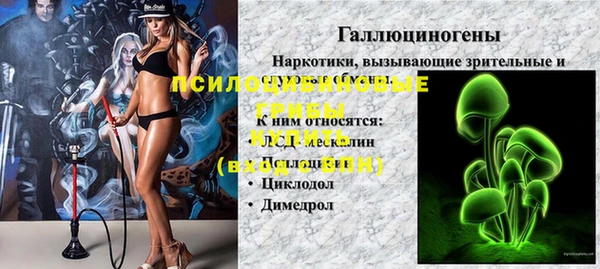 ешки Гусь-Хрустальный