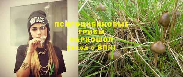 мяу мяу мука Гусев