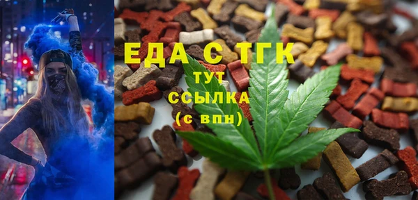 амф Гусиноозёрск