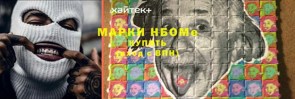 амф Гусиноозёрск