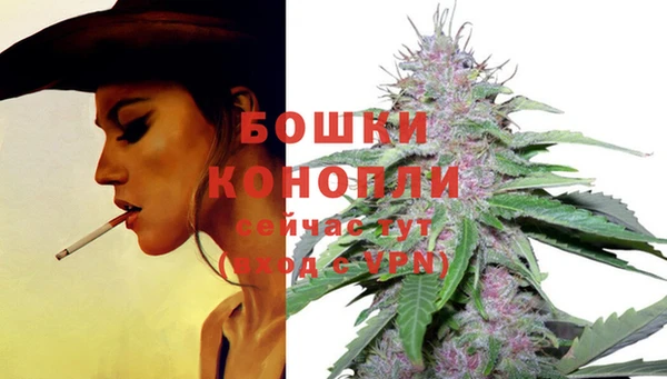 ешки Гусь-Хрустальный