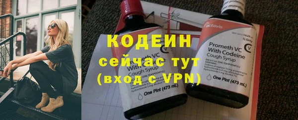 мяу мяу мука Гусев