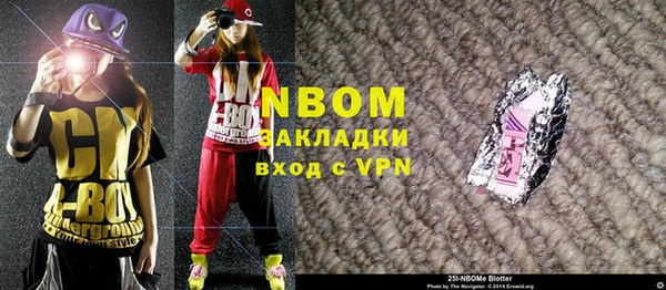 амф Гусиноозёрск
