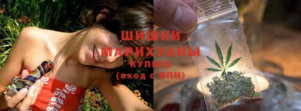 ешки Гусь-Хрустальный