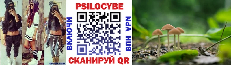 Галлюциногенные грибы MAGIC MUSHROOMS Отрадный